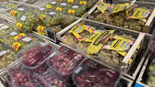 E-commerce uva: prezzi in leggero rialzo nella settimana 17