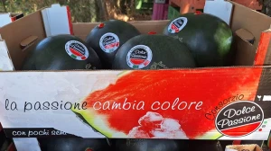Dolce Passione: in gara con il packaging autentico