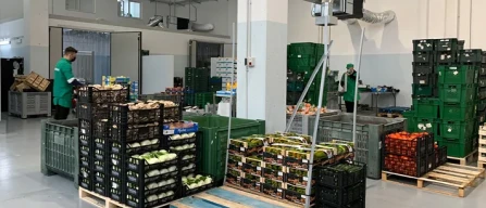 Mercato di Molfetta, emergenza furti-image