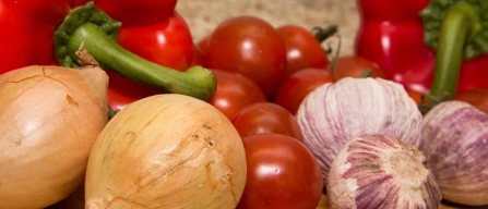 Biologico, il punto di Ismea-image