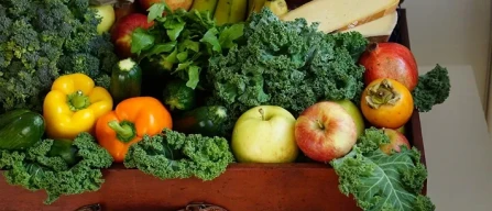 Medio Oriente, ripercussioni anche per l'ortofrutta-image