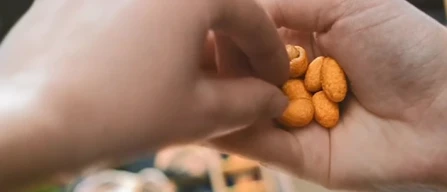 Lidl rilancia Alesto: la frutta a guscio come leva di marca-image