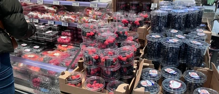 Gdo Firenze, prezzi mirtilli in calo, su more e lamponi-image