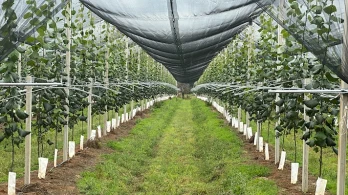 Cambiamento climatico: la sfida che parte dalla terra