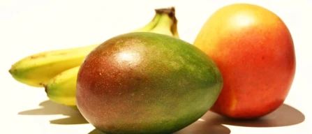 Frutti tropicali, l’Europa amplia gli areali produttivi-image