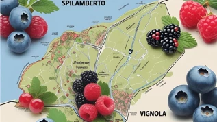 Osservatorio Focus: i berries dal territorio campione