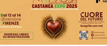 Castanea expò, soddisfatti organizzatori e espositori-image