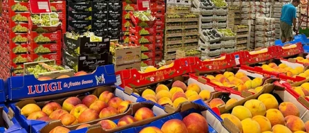 Dai mercati: insalate, pomodori e zucchine sui 3 euro-image