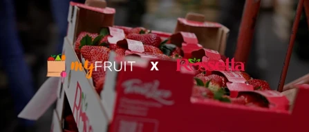 Video: successo delle fragole lucane al mercato di Bergamo-image