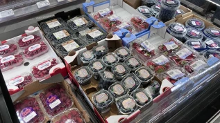 Piccoli Frutti Piacenza: origini diverse e prezzi variabili