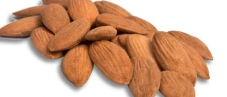 Mandorla d'Avola, cresce il consumo diretto-image