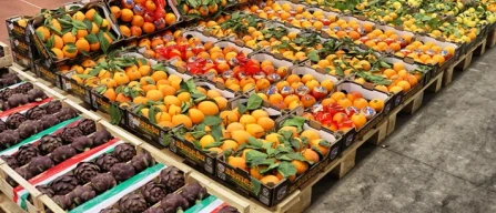 Economia circolare in ortofrutta? Dalla Gdo all'ingrosso-image