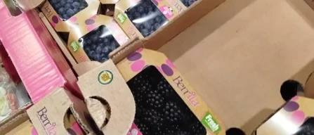 Ingrosso piccoli frutti: calano i lamponi, tanto Marocco-image