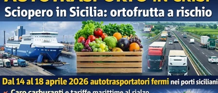 Autotrasporto, la Sicilia si mobilita-image