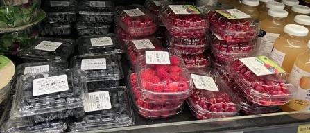 Berries, a Piacenza: solo import su mirtilli, more e lamponi-image