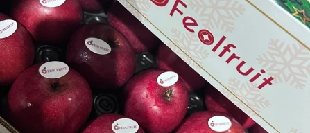 Il pack Melannurca Campana Igp a caccia del premio-image