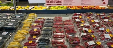 Piccoli frutti Gdo Torino, gamma ampia e prezzi bassi-image