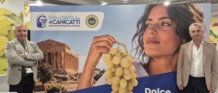 Uva di Canicattì: al lavoro su innovazione e comunicazione-image