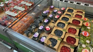 Piccoli frutti, in Gdo a Trento quasi tutti italiani