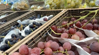 Prezzi uva online: rossa con semi -11%, bianca senza +9%