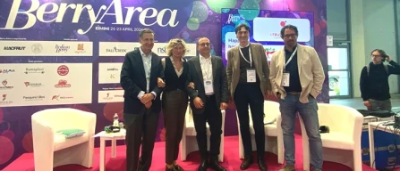 Piccoli frutti, la Gdo guarda oltre il boom-image