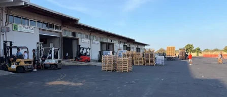 Dai mercati: pomodori sempre alle stelle-image