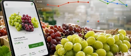 Uva da tavola, oltre il prezzo: arriva Planner-image