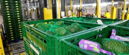 Aldi, in UK il super hub dell'ortofrutta-image