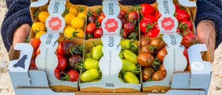 Sapito candida il pack per i pomodori al "sapore del mare"-image