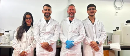 Scarti di liquirizia per la shelf-life di fragole e berries-image
