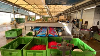 Magazzini di lavorazione: meno consumi idrici ed energetici