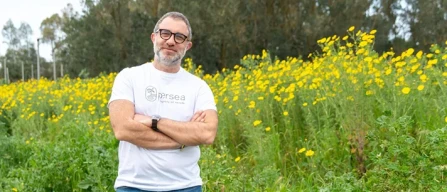 L’avocado italiano con Persea: dalla Calabria alla Sardegna-image