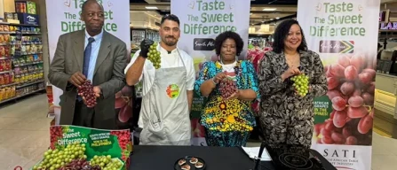 Uva da tavola, Sudafrica corre e firma record nell’export-image