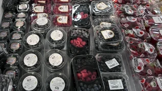 Piccoli frutti, Italia regina ma la domanda spinge l'import