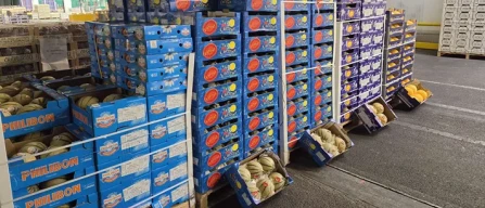 Dai mercati: pomodori grappolo a 3-4 euro, meloni francesi-image
