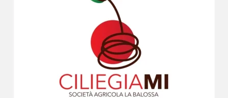 Raccolta fai da te? Di ciliegie, a mezz'ora dal Duomo-image