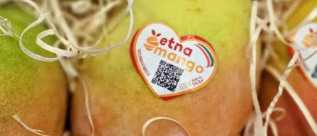 Sicilia: 18 milioni per nuovi prodotti, va forte l'esotico-image