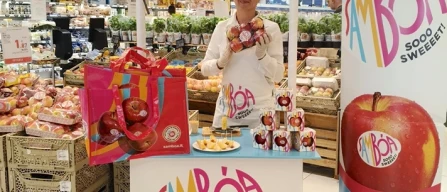 Sambóa, 160 degustazioni per conquistare lo scaffale-image