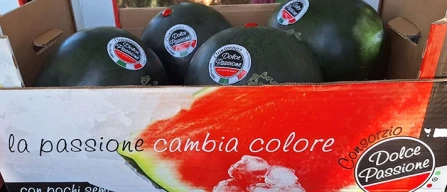 Dolce Passione: in gara con il packaging autentico-image