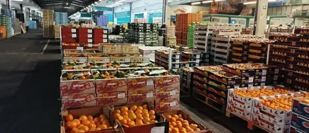 Dai mercati: pomodori sopra i 2 euro, datterini a 5-image