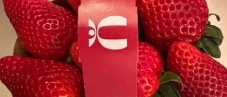 Ecco Elyson, un altro modo di dire fragola-image