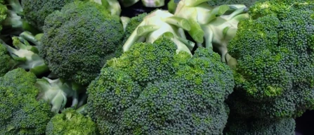Broccoli elisir di giovinezza, sono ricchi di spermidina-image