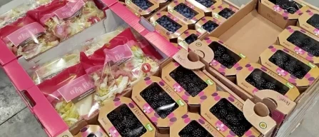 Ingrosso piccoli frutti: solo il ribes sopra i 20 euro-image