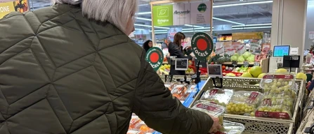 Uva e-commerce Italia: prezzi medi a 5,68 euro/kg (-0,8%)-image