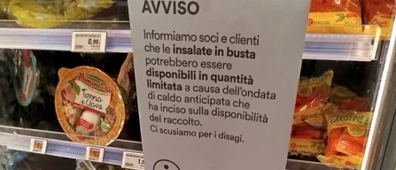 Fa caldo anche in reparto: crisi rese, assortimenti ridotti-image