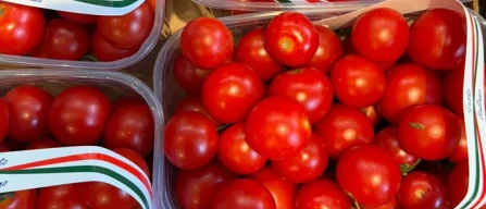 Dai mercati: il pomodoro non scende, ancora pesche e meloni-image