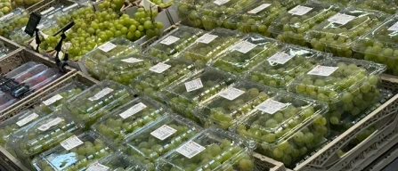 Uva e-commerce: prezzi medi in lieve calo, promozioni mirate-image