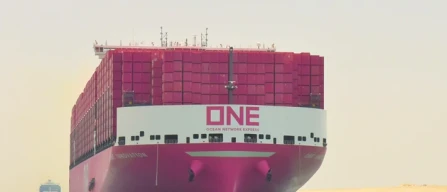 Reefer gap in Africa: export ortofrutta frenato-image