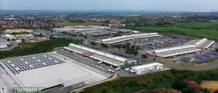 Mercato diurno? La storia del Car spiegata da un grossista-image