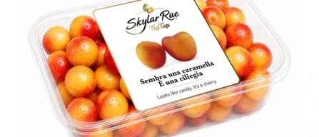 Rivoira presenta Skylar Rae, nasce la #CherryBerry-image